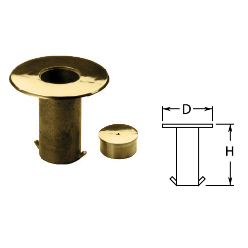 2" Brass Floor Socket with Cap